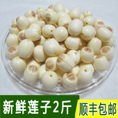 新鲜速冻莲子手工去芯鲜莲子广昌生莲子带芯莲子顺丰冷链 2斤 包邮