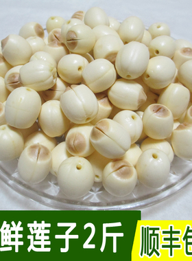 速冻新鲜莲子手工去芯鲜莲子广昌生莲子带芯莲子顺丰冷链包邮2斤