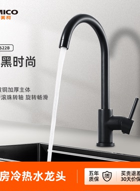 埃美柯amico  全铜主体黑色厨房水龙头冷热防溅头洗菜盆水槽龙头