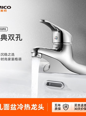 埃美柯amico 双孔面盆水龙头台上台下洗脸手盆冷热卫生间浴室全铜