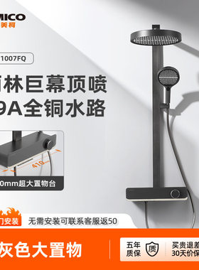 埃美柯amico 极简风花洒全铜枪灰色淋浴套装家用增压喷枪喷头置物
