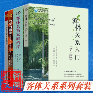 单套自选 客体关系系列 心灵的母体/精神分析之客体关系理论/客体关系入门/客体关系家庭治疗 心理学书籍北京世图华东师范