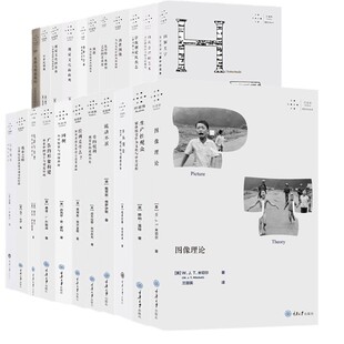 自选】拜德雅视觉文化丛书 图像理论 图题消费图像/流动不居自制美学/比特城市/身体图景看的权力/视觉文化面面观皮格马利翁效应等