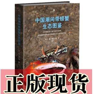 张小蜂 中国潮间带螃蟹生态图鉴 徐一扬 著 社 正版 重庆大学出版 书