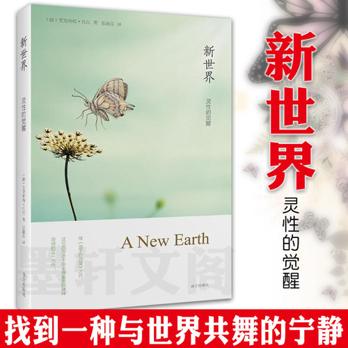 【正版书】  新世界:灵性的觉醒 艾克哈特托尔著  张德芬译 北京立品 南方出版社