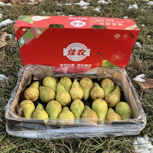 佳农比利时青啤梨软硬皆可顺丰