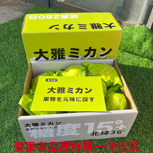 春见粑粑柑7斤礼盒装新鲜水果四川大雅柑当季柑橘新鲜好包邮顺丰