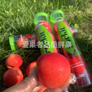 乐淇新西兰Rockit火箭苹果一筒5个350克当季 进口樱桃小苹果新鲜