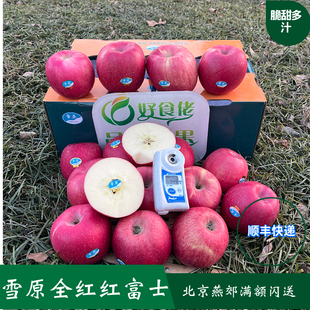 雪原静宁红富士苹果全红脆甜多汁鉴赏型顺丰快递圣诞平安果首选