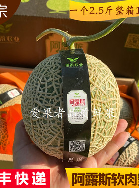 阿露斯软肉蜜瓜玫珑蜜瓜一个装2.5斤以上 整箱5到7个装约17斤