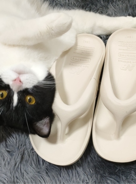 New Balance NB X TAW联名沙滩男女运动拖鞋凉鞋人字拖 SD5601GBK