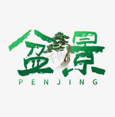 盆景，黑松，榆树，黄杨，等多种直播间