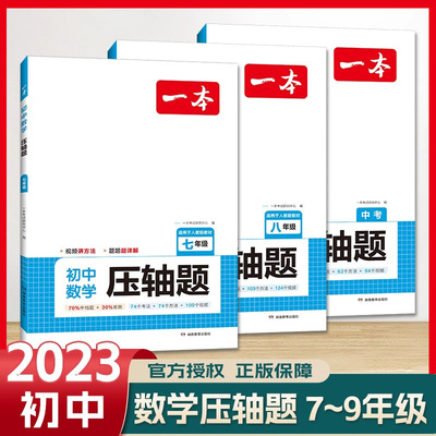 2024新版一本初中数学压轴题