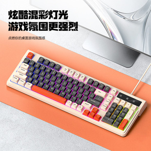 雷狼键盘机械手感有线游戏电竞客制化紧凑型电脑键盘98键RGB混彩