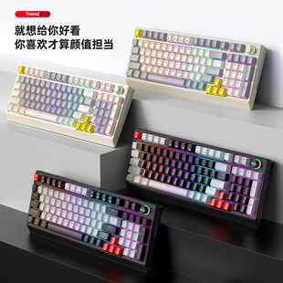 雷狼机械键盘客制化RGB青轴98键办公游戏键盘有线热插拔带旋钮T50