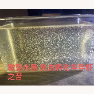 微型水蚤好养繁殖培养鱼食蹦蹦红虫鱼苗开口饲料活草履虫轮虫