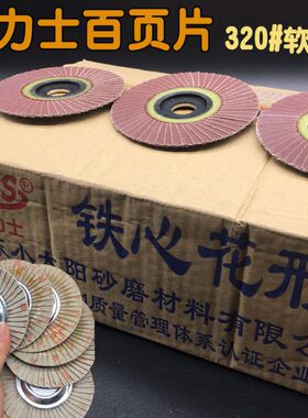 坚力士320百页片铁心花形页轮软片小太阳硬240不锈钢磨片80叶轮
