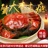 包邮 中秋节现货鲜活大闸蟹鲜活大螃蟹5.6 3.8两公母任选10只顺丰