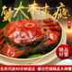 包邮 中秋节现货鲜活大闸蟹鲜活大螃蟹5.6 3.8两公母任选10只顺丰