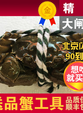 鲜活10只大闸蟹北京闪送