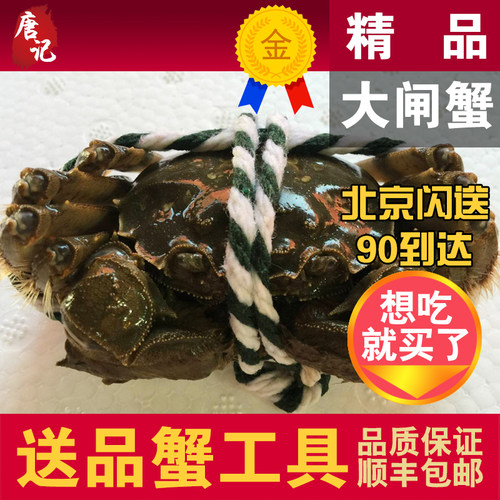 鲜活10只大闸蟹北京闪送
