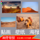 沙漠大自然景观黄沙照片海报沙丘装 饰画荒漠沙子墙贴画壁画贴纸