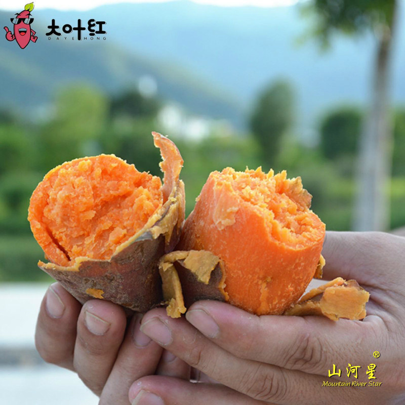 新鲜六鳌沙地现挖蔬菜红心小香薯