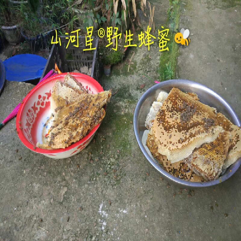 山河星蜂巢蜜农村沙芜野生纯土蜂蜜农家老蜜百花蜜原蜜冬蜜糖1斤