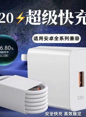 适用荣耀X60/X50/X50GT/X40/X60Pro超级快充120套装x40gt/X30充电头闪充充电器66快充手机数据线