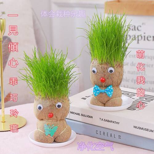 植物草头娃娃浇水长草摆件盆栽