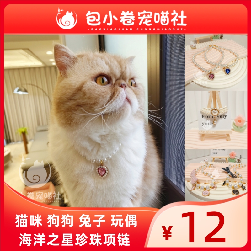 宠物珍珠项链猫咪狗狗珍珠项圈吊坠装饰品德文卷暹罗猫可爱挂饰