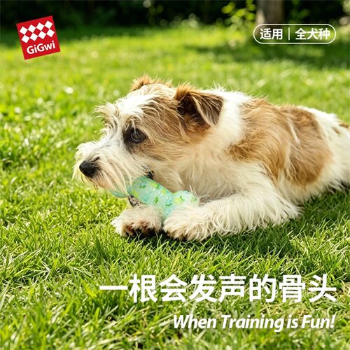 贵为狗狗玩具磨牙发声骨头