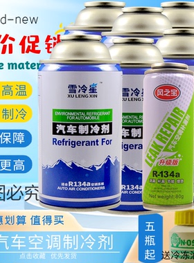 R134a汽车空调R134a冷媒雪种氟利昂制冷剂 雪冷星品牌 正品配件
