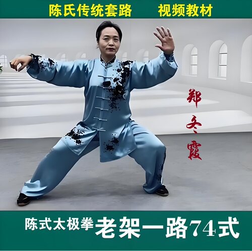 郑冬霞陈氏太极拳下载老架一路74式精讲U盘陈式七十四式DVD光碟