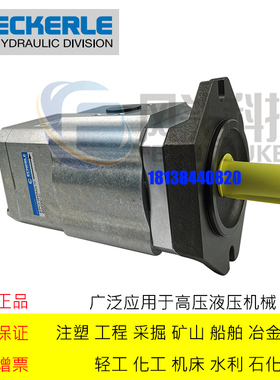 德国ECKERLE艾可勒齿轮泵 EIPC3-064RK23-10注塑机伺服齿轮泵油泵