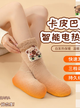 电热袜发热袜子加厚毛绒暖脚宝卡皮巴拉萌宠可爱学生加热恒温保暖