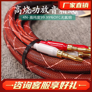 发烧级喇叭线无氧铜屏蔽抗干扰信号线秋叶原音箱线2.5米一对 师旷