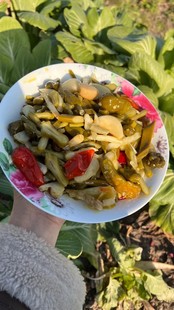 农家自制榨菜酸豆角下饭菜腌制辣椒香辣酱菜咸缸豆萝卜干开胃咸菜