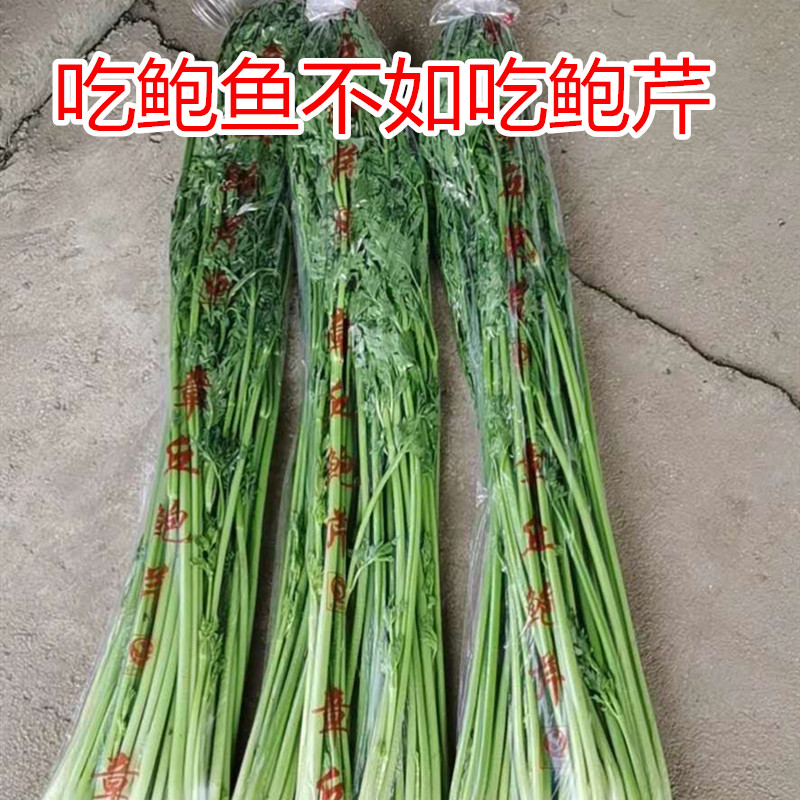 蔬菜香脆无丝新鲜礼盒装山东蔬菜