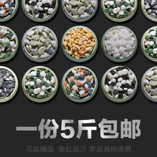 5斤白色小石子鹅卵石多肉植物花盆铺面石暖米粒石鱼缸底沙石头子