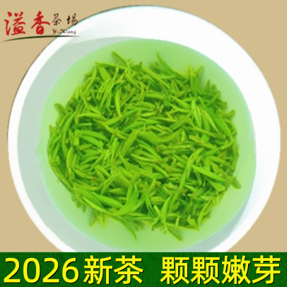 信阳毛尖2026新茶特级嫩芽茶叶绿茶自产自销散装浓香春茶250g