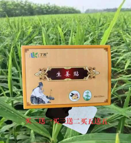 发热姜贴原始点暖宫三伏贴保健贴
