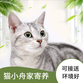 包猫粮猫砂送洗澡无狗 猫寄养北京宠物上门喂猫咪通州燕郊