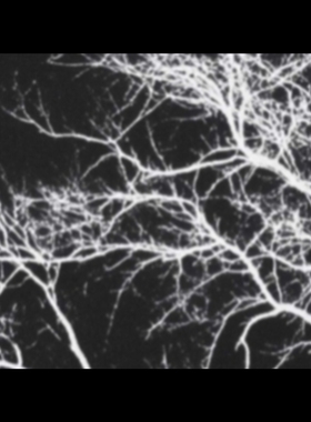 魔术教学 2025中文讲义读心系统The Eldritch System 进阶 超值版