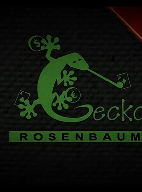 魔术教学 2025Gecko Pro System 壁虎消失器专业版-舞台魔术 超值