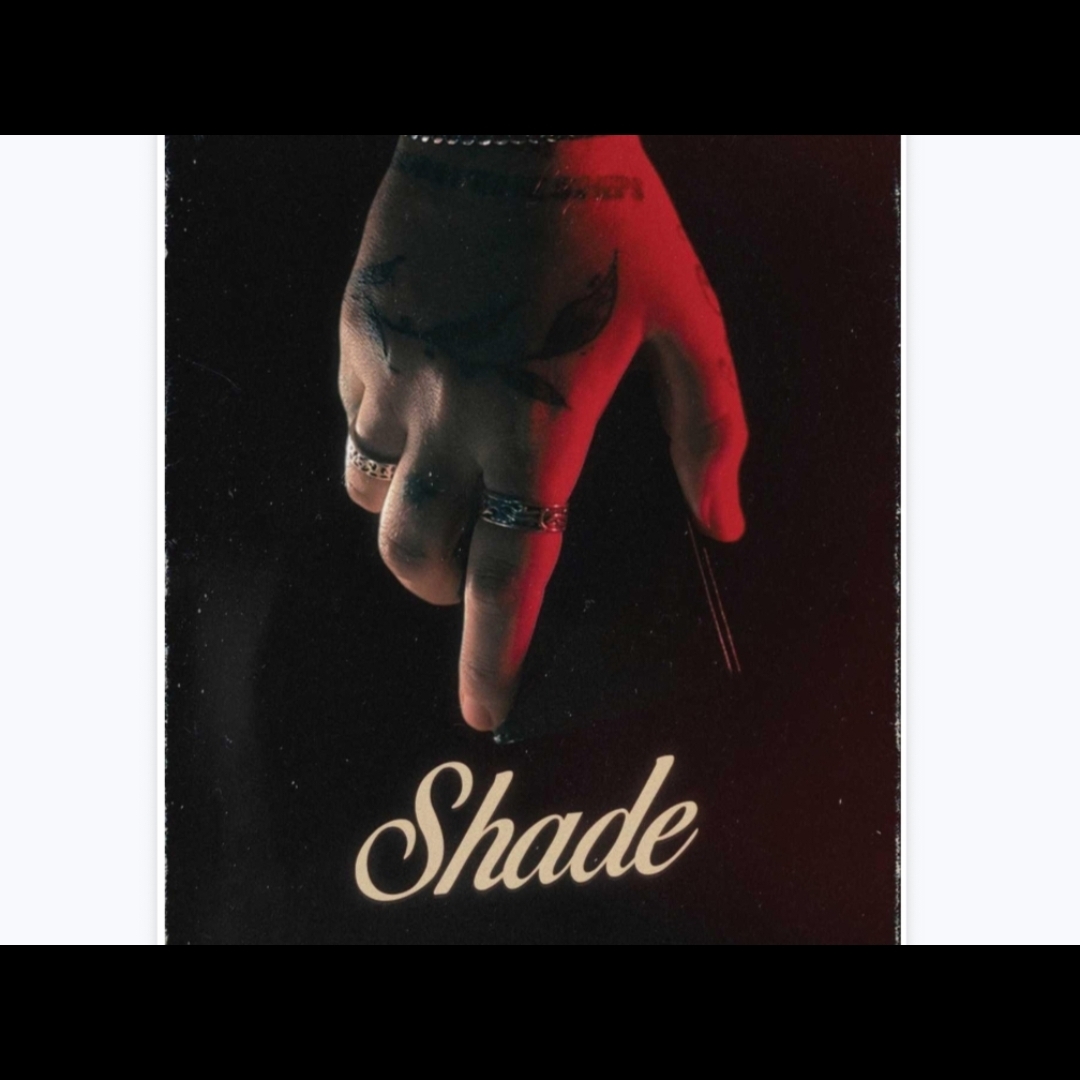 魔术教学 2025中文讲义创新心灵钱包流程Shade by Lewis Le 巧妙