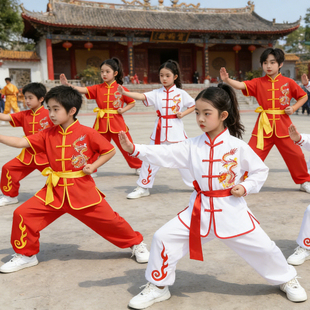 六一儿童新款武术服表演服功夫服小学生功夫舞狮舞龙套装演出服装