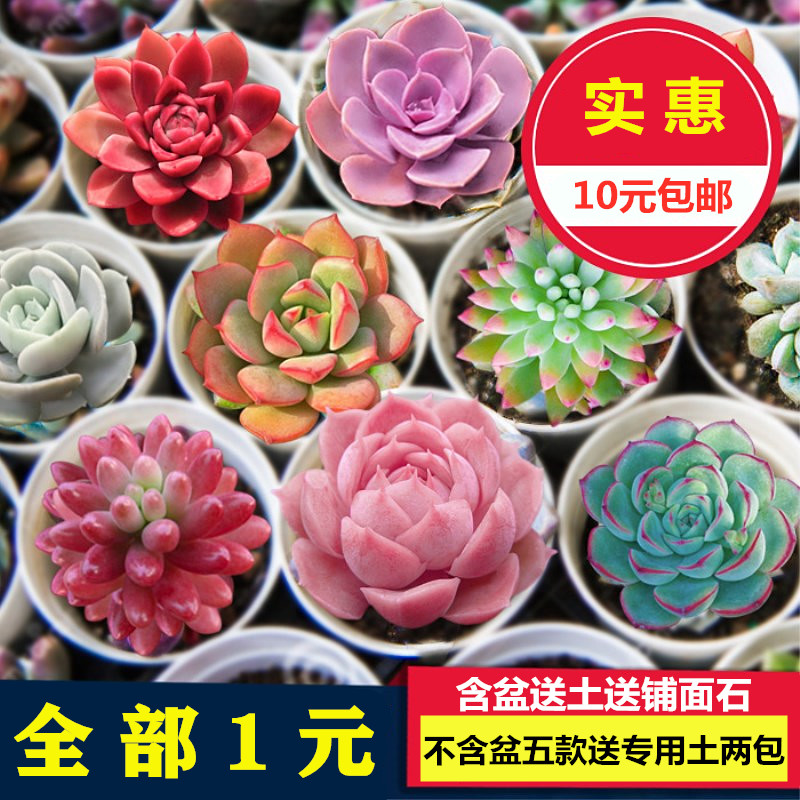 带你看骨科