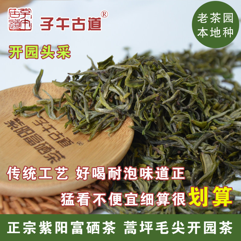 2026新茶 紫阳蒿坪毛尖开园毛尖 正宗紫阳头采茶 富硒茶核心产地