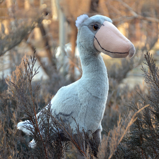鲸头鹳毛绒玩具玩偶公仔布娃娃可爱呆萌鸟类动物模型儿童生日礼物